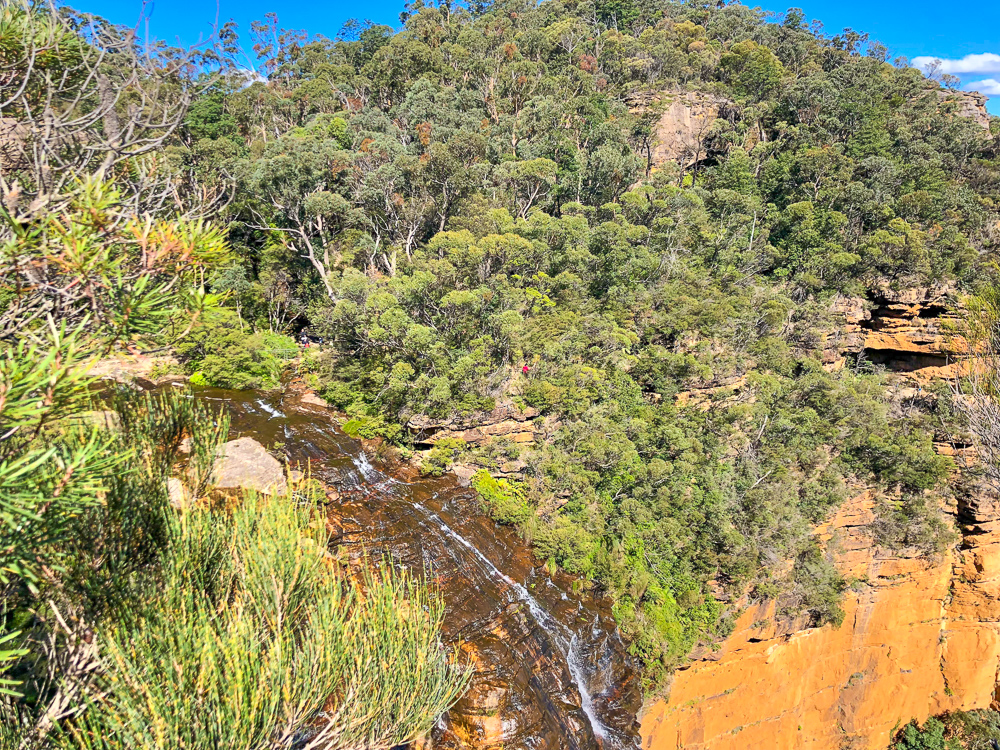 Wentworth Falls, a stream flowing down a cliff amids the bush