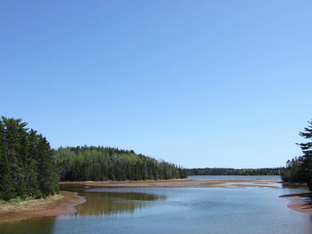 PEI, low water, with sand banks and forest