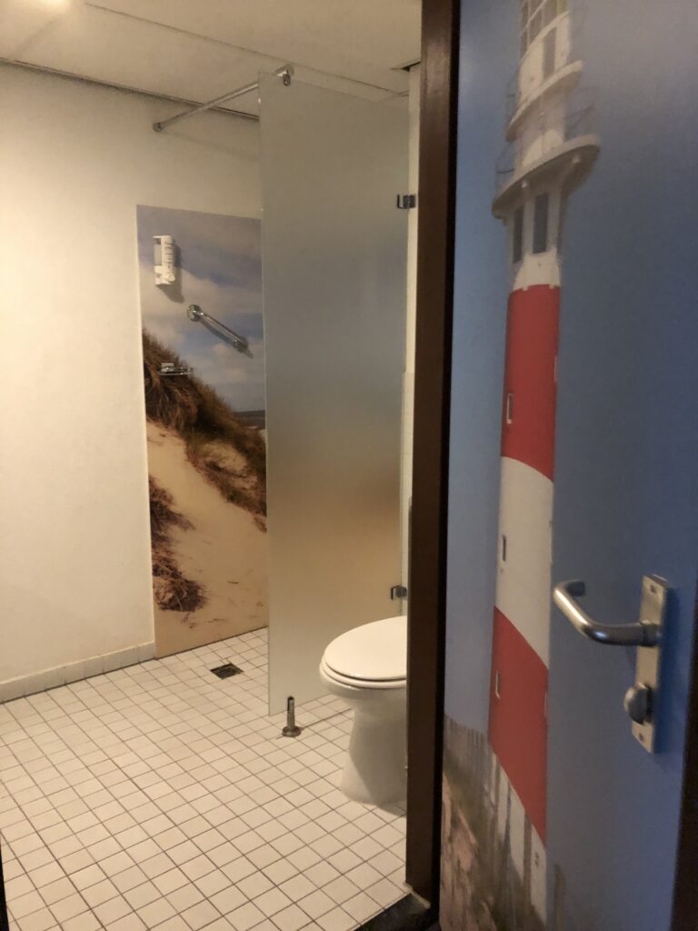 The bathroom with shower and toilet