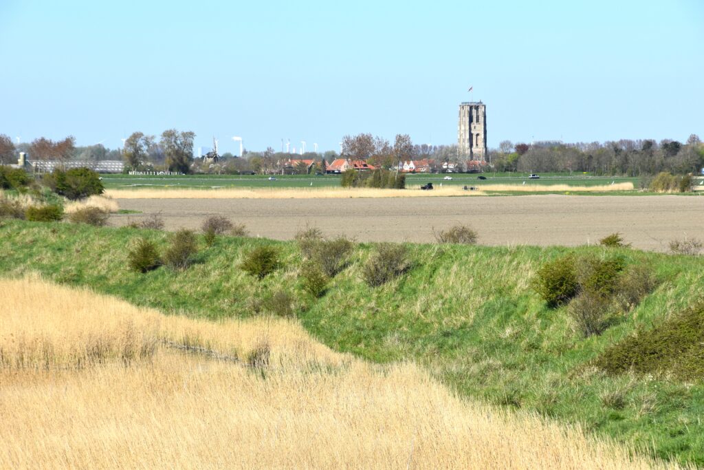 The tower at Goedereede, as seen from afar, over the pastures