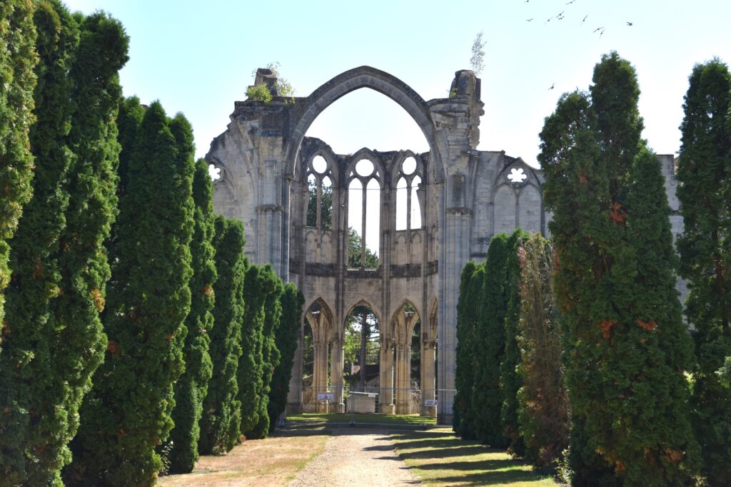 Abbaye d'Ourscamp, as seen from the front. The ruins of the old abbey. Pine trees aligning the path to it