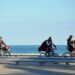 Zombies on bikes, biking on a biking path next to the sea and road